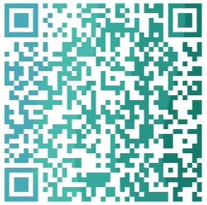 Cordless High-Pressure Car Washer with Brushless Motor (100 Bar)